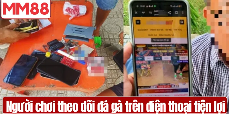 Người chơi theo dõi đá gà trên điện thoại tiện lợi